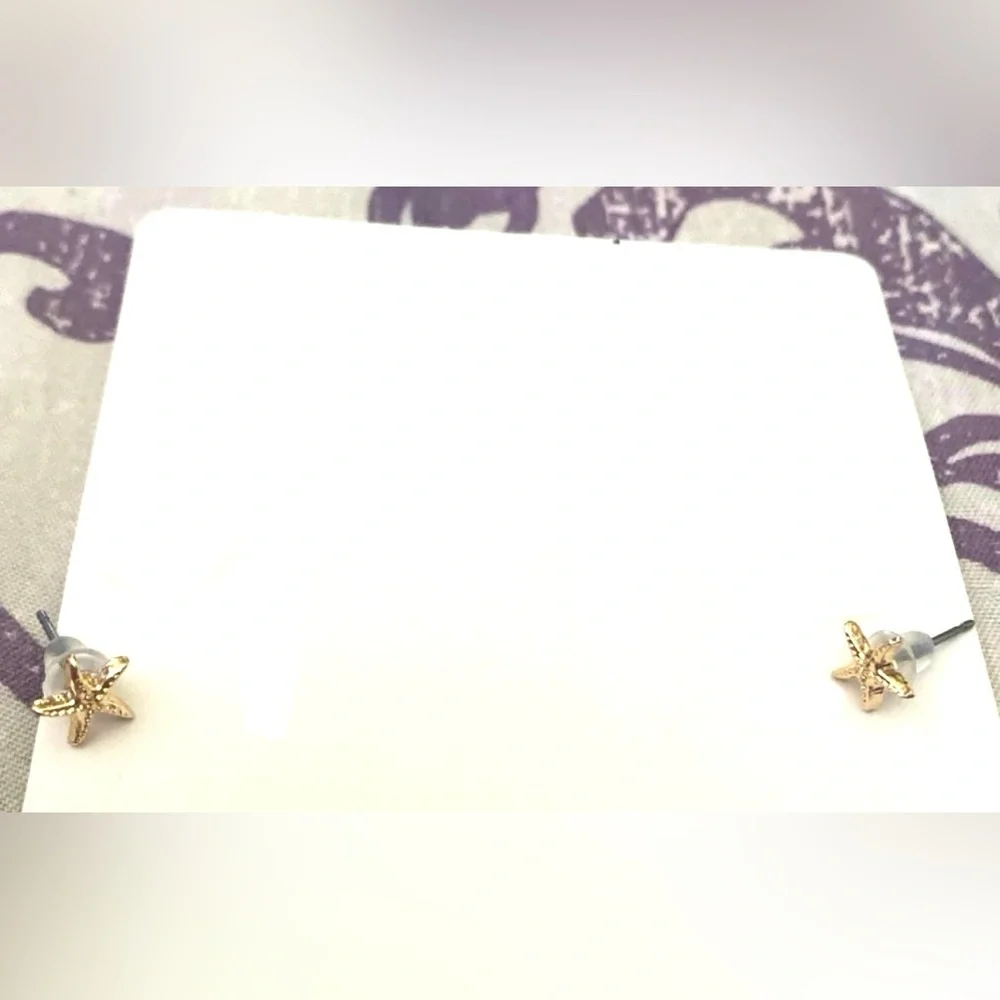 Baby Starfish Teeny Tiny Sea Star Bumpy Knobby Tube Feet Pedicellaria Ocean Stud